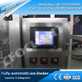 Shanghai Fully-automatic ice packing machine with auto ice conveying system